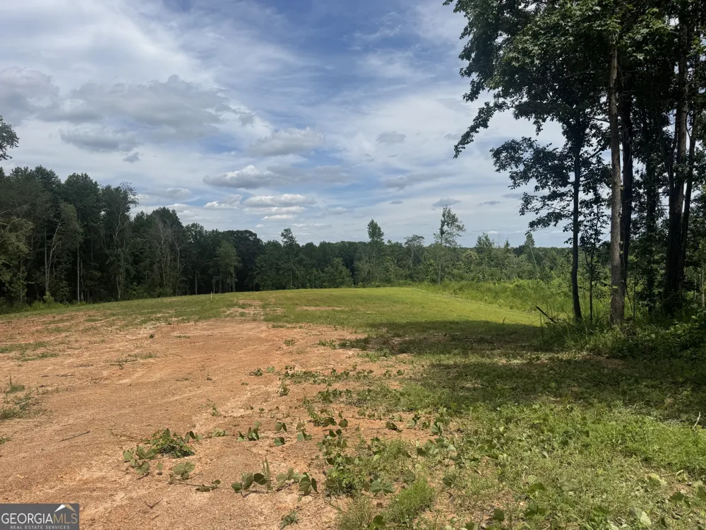 LOT 4 Happy Hollow RD Roopville, GA 30170