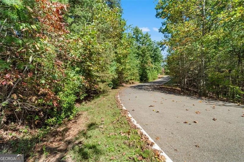 288 Blazingstar TRL Big Canoe, GA 30143
