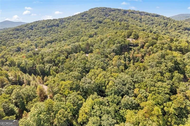 288 Blazingstar TRL Big Canoe, GA 30143