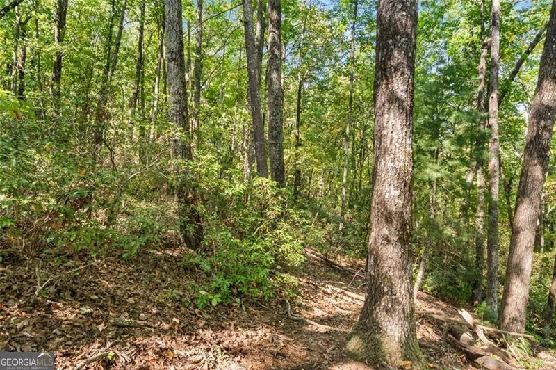 288 Blazingstar TRL Big Canoe, GA 30143