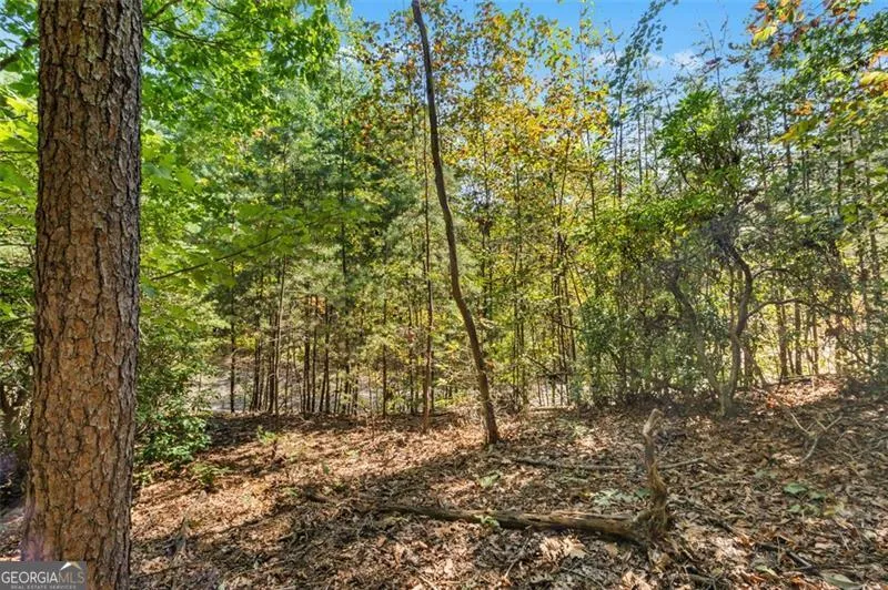 288 Blazingstar TRL Big Canoe, GA 30143