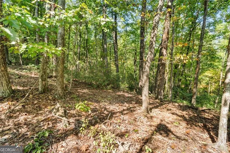 288 Blazingstar TRL Big Canoe, GA 30143