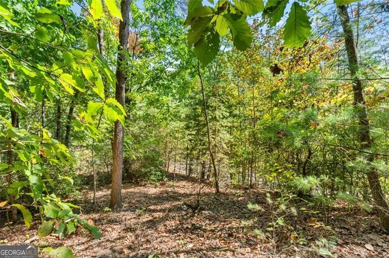 288 Blazingstar TRL Big Canoe, GA 30143