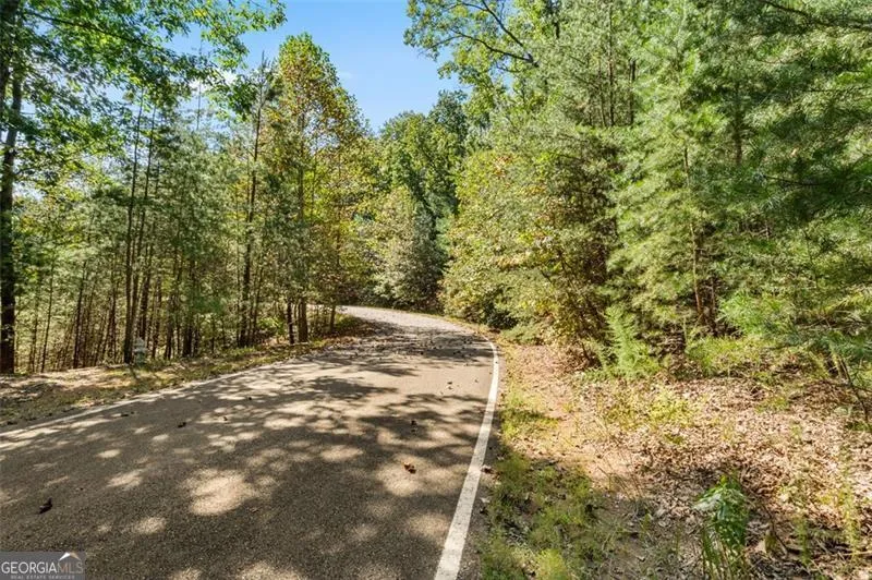 288 Blazingstar TRL Big Canoe, GA 30143