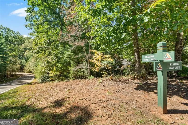 288 Blazingstar TRL Big Canoe, GA 30143