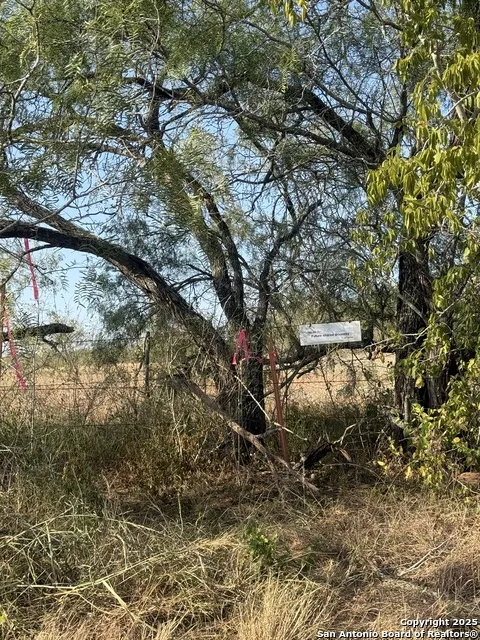 TBD Fm 1681-Tract 3 Stockdale, TX 78160