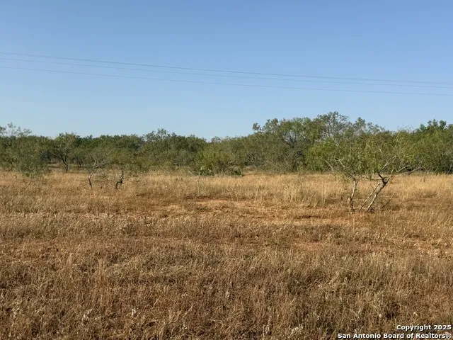 TBD Fm 1681-Tract 3 Stockdale, TX 78160