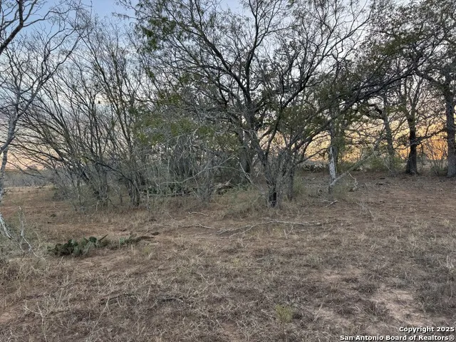 TBD Fm 1681-Tract 3 Stockdale, TX 78160
