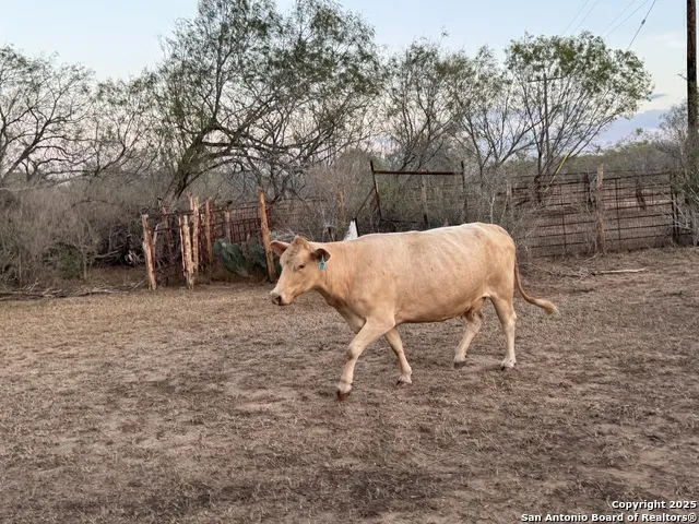 TBD Fm 1681-Tract 3 Stockdale, TX 78160