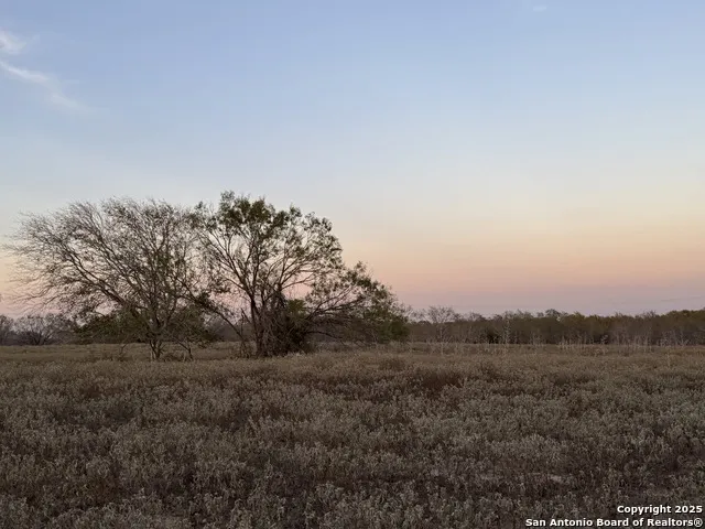 TBD Fm 1681-Tract 3 Stockdale, TX 78160