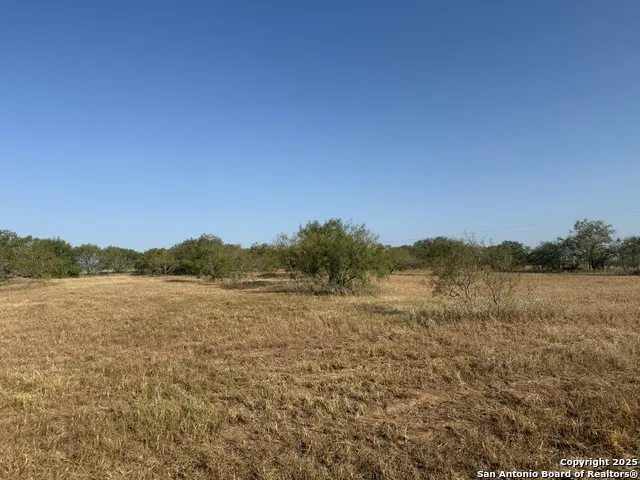 TBD Fm 1681-Tract 3 Stockdale, TX 78160