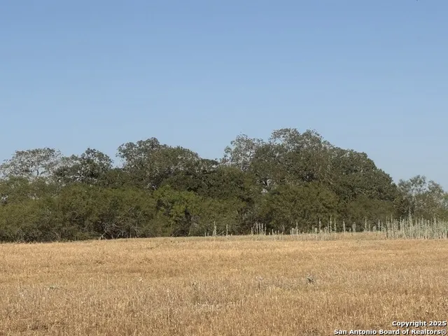 TBD Fm 1681-Tract 3 Stockdale, TX 78160