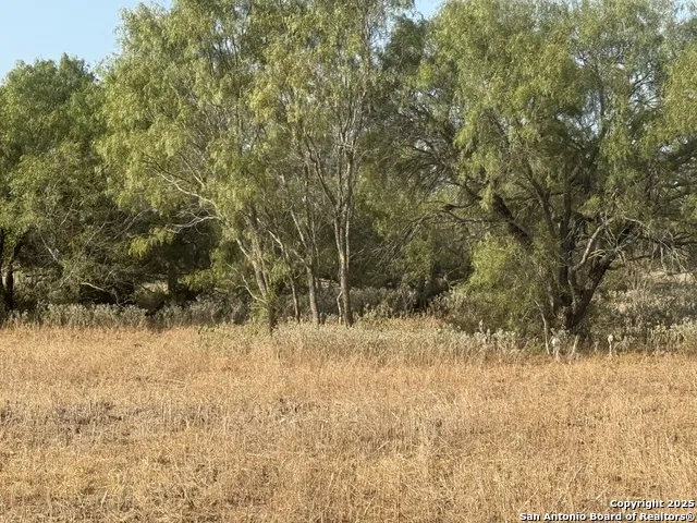 TBD Fm 1681-Tract 3 Stockdale, TX 78160
