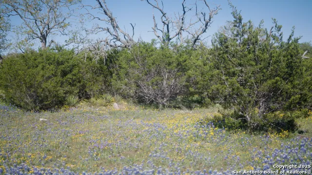00 FM 479 Harper, TX 78631