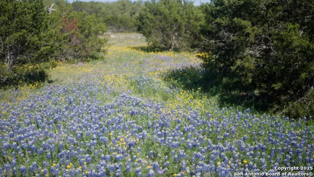 00 FM 479 Harper, TX 78631