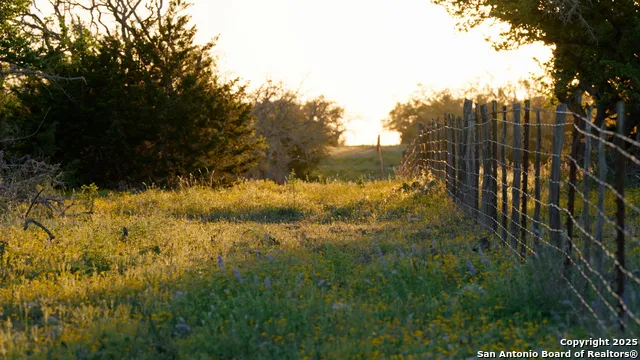 00 FM 479 Harper, TX 78631