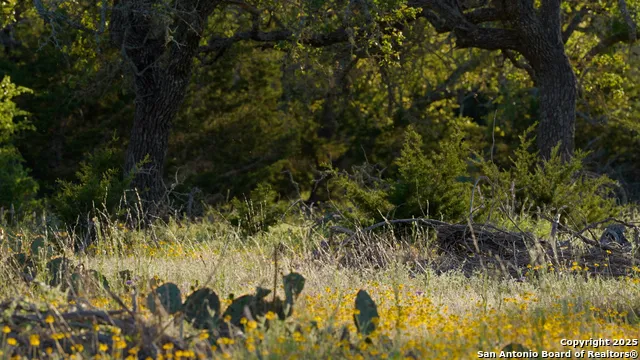 00 FM 479 Harper, TX 78631