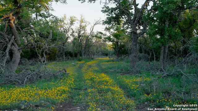 00 FM 479 Harper, TX 78631