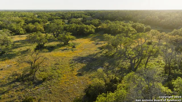 00 FM 479 Harper, TX 78631