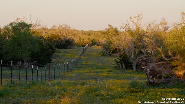 00 FM 479 Harper, TX 78631
