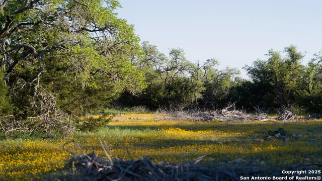 00 FM 479 Harper, TX 78631