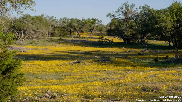 00 FM 479 Harper, TX 78631