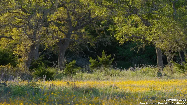 00 FM 479 Harper, TX 78631