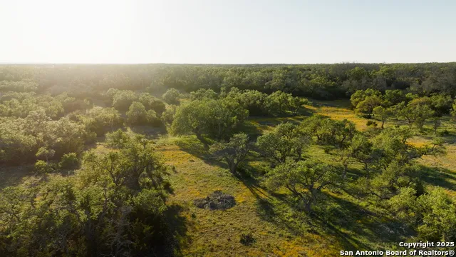 00 FM 479 Harper, TX 78631