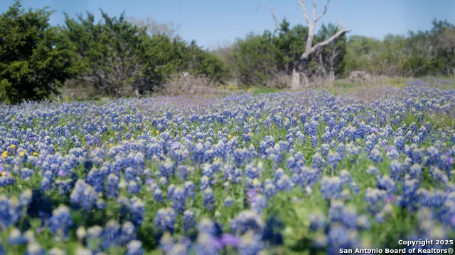 00 FM 479 Harper, TX 78631