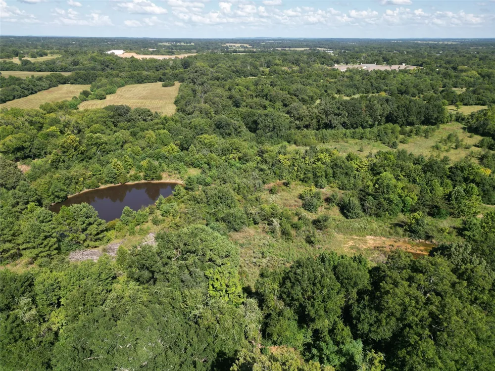 Central Park Court Athens, TX 75751