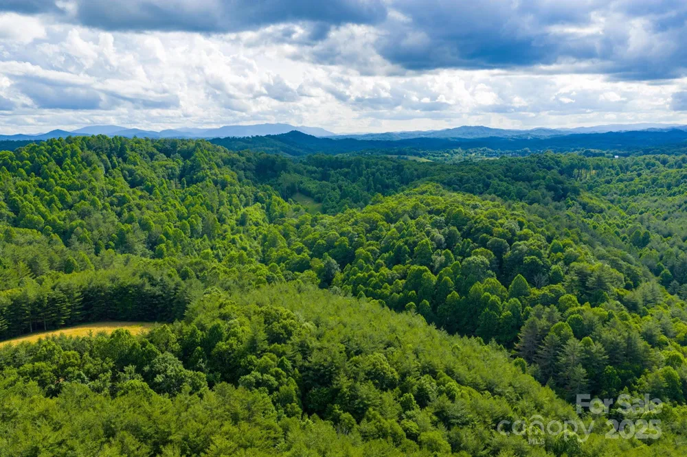 TBD Phipps Dairy Road Piney Creek, NC 28663