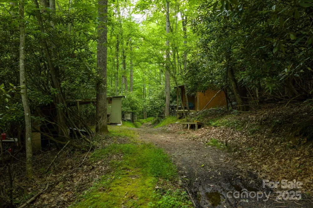 TBD Phipps Dairy Road Piney Creek, NC 28663
