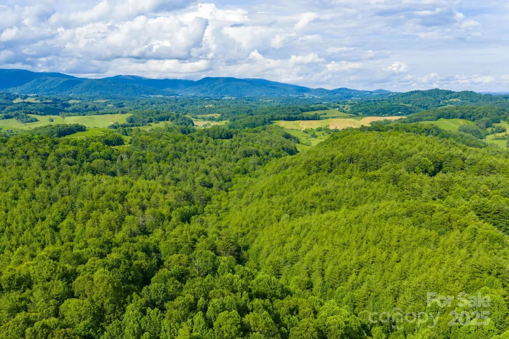 TBD Phipps Dairy Road Piney Creek, NC 28663