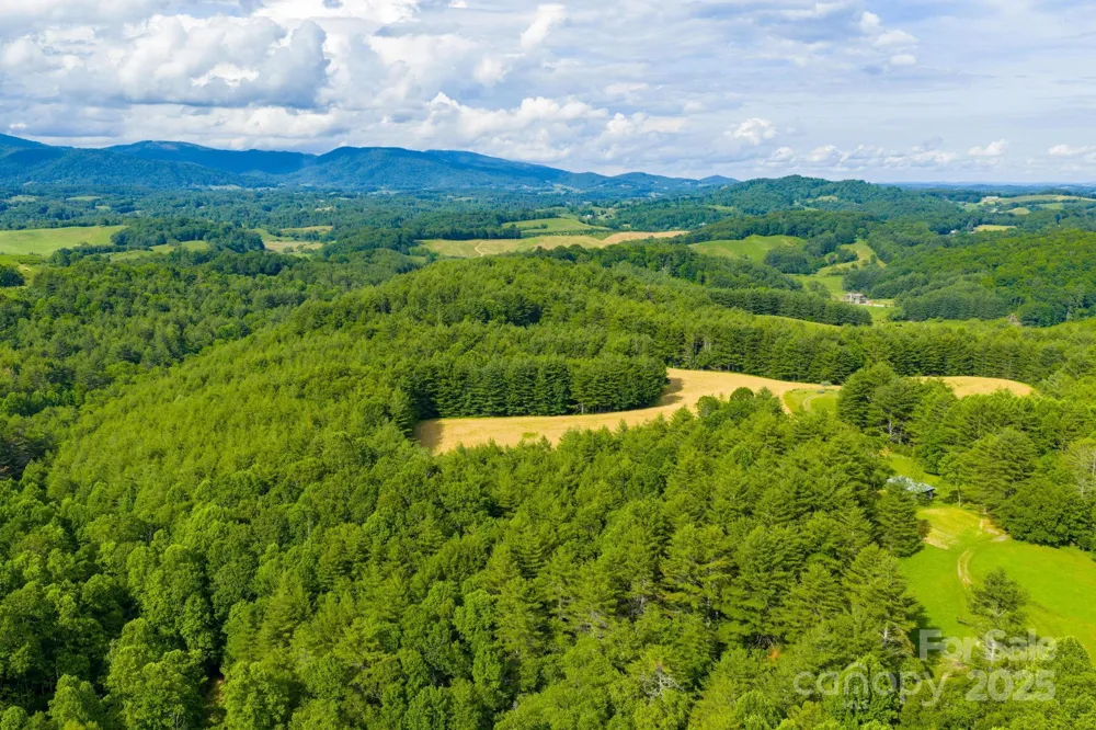TBD Phipps Dairy Road Piney Creek, NC 28663