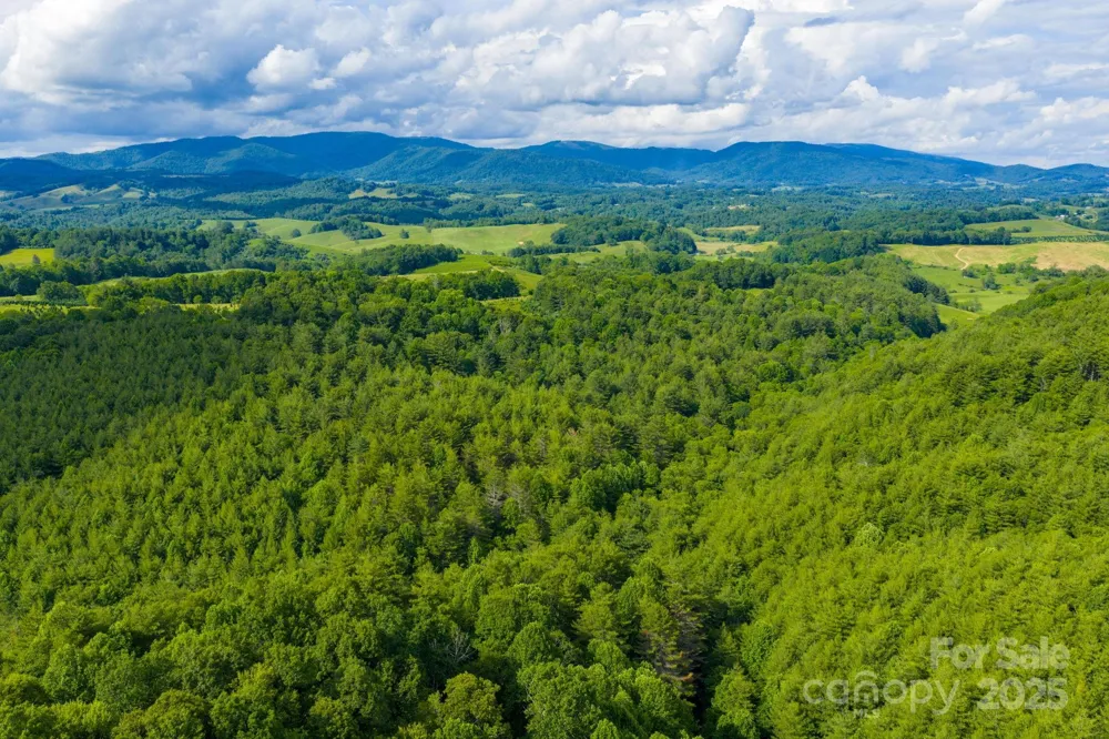 TBD Phipps Dairy Road Piney Creek, NC 28663