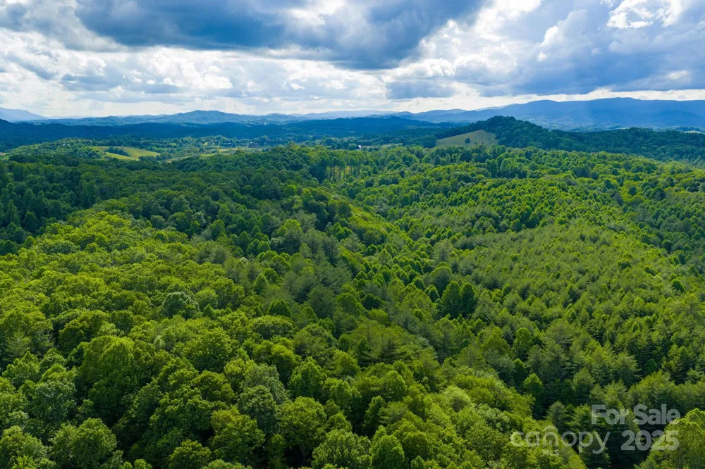TBD Phipps Dairy Road Piney Creek, NC 28663