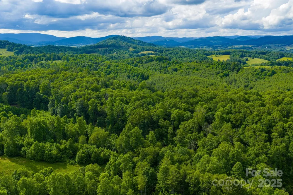 TBD Phipps Dairy Road Piney Creek, NC 28663