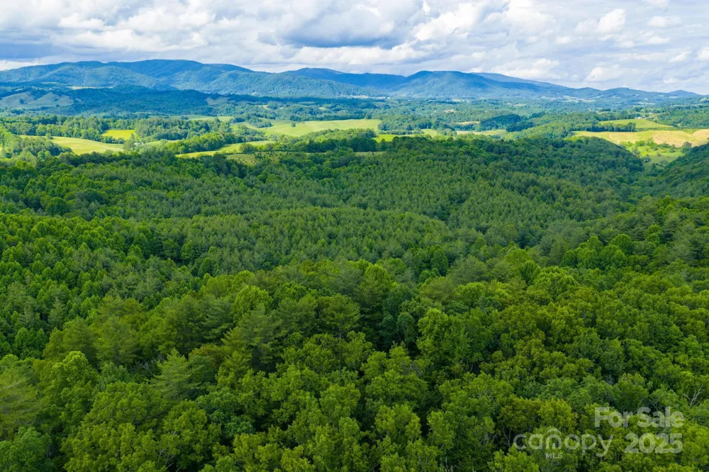 TBD Phipps Dairy Road Piney Creek, NC 28663