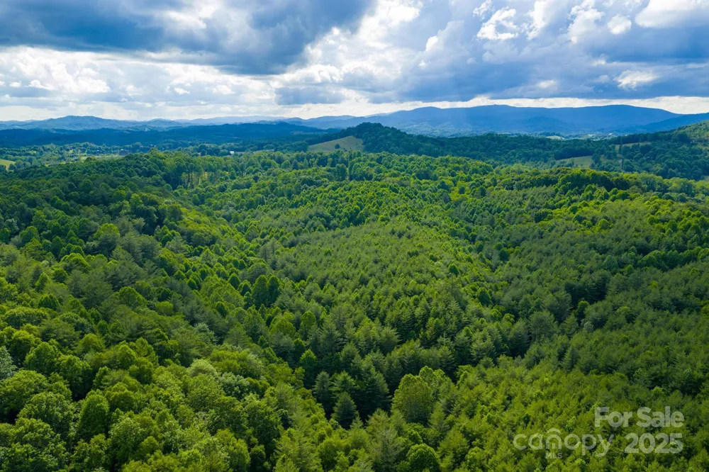TBD Phipps Dairy Road Piney Creek, NC 28663