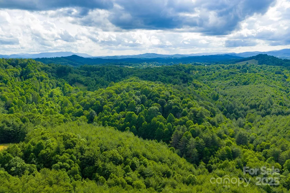 TBD Phipps Dairy Road Piney Creek, NC 28663