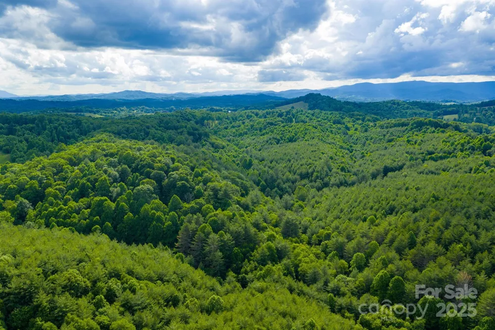 TBD Phipps Dairy Road Piney Creek, NC 28663