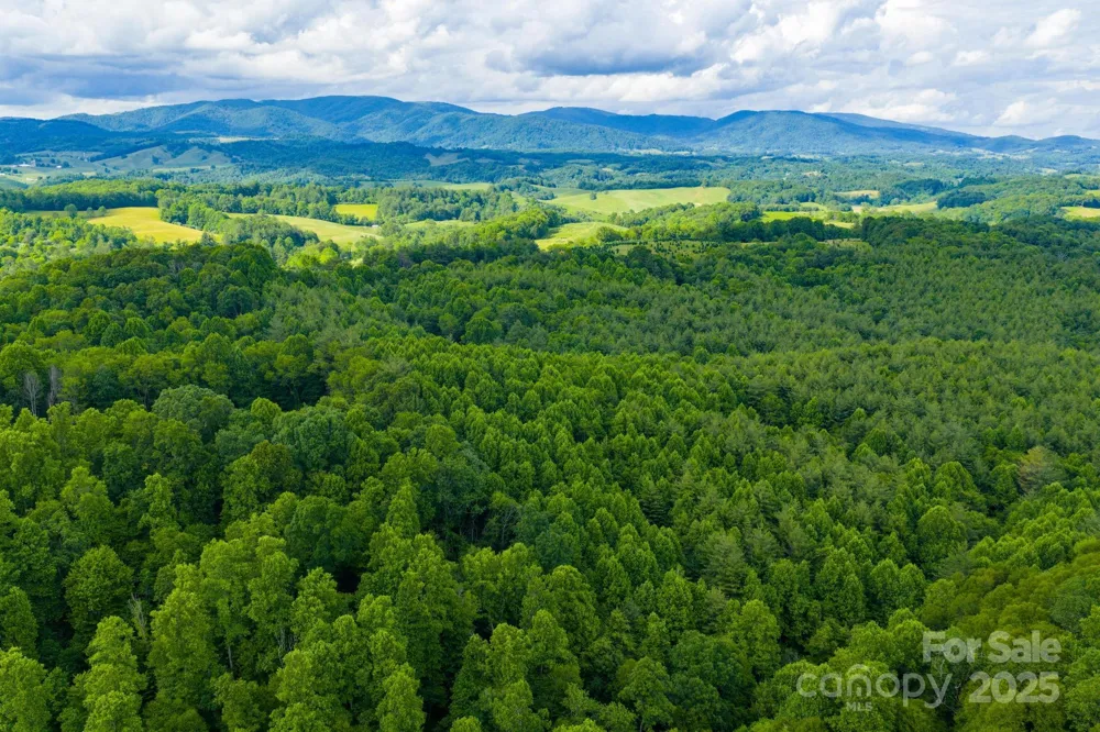 TBD Phipps Dairy Road Piney Creek, NC 28663