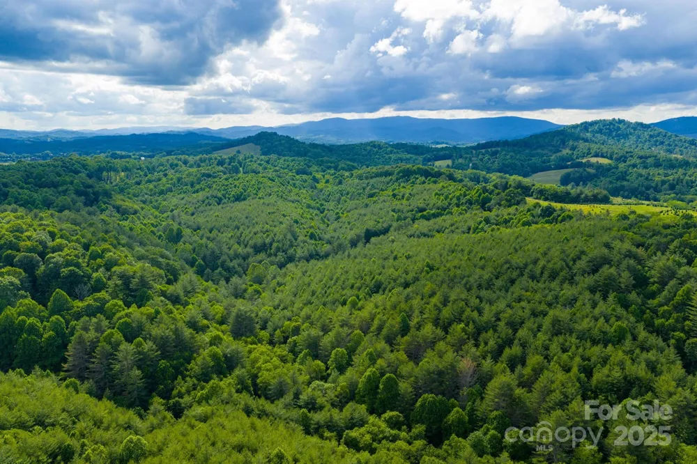 TBD Phipps Dairy Road Piney Creek, NC 28663