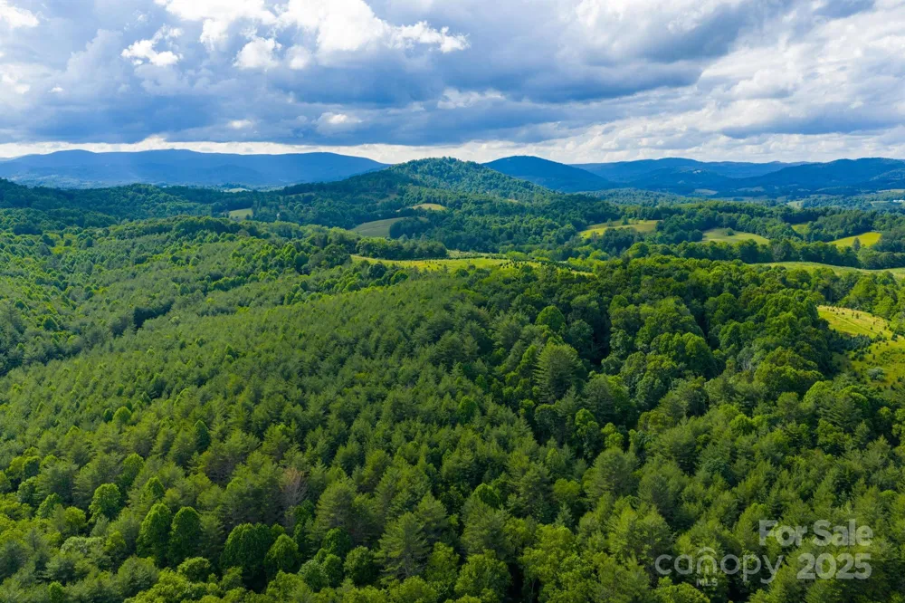 TBD Phipps Dairy Road Piney Creek, NC 28663