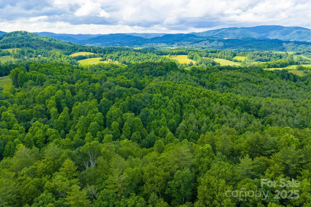 TBD Phipps Dairy Road Piney Creek, NC 28663