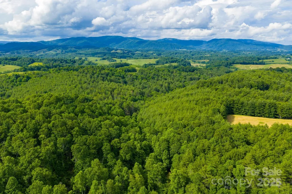 TBD Phipps Dairy Road Piney Creek, NC 28663