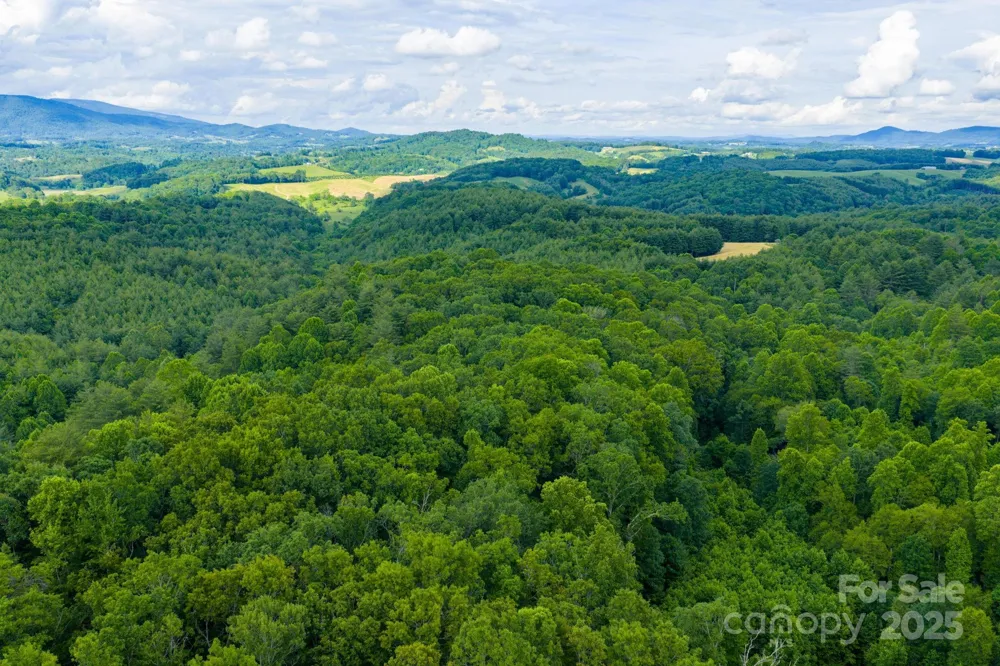 TBD Phipps Dairy Road Piney Creek, NC 28663