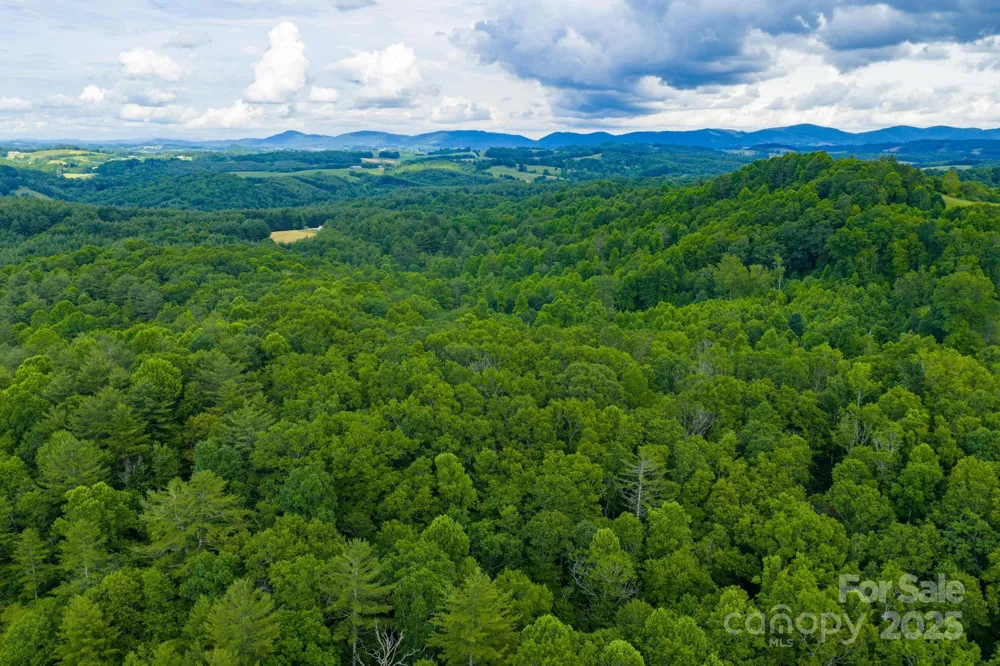 TBD Phipps Dairy Road Piney Creek, NC 28663