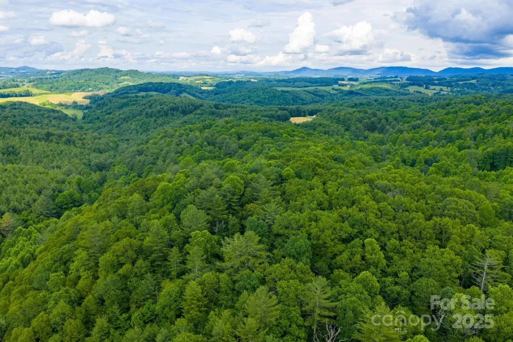 TBD Phipps Dairy Road Piney Creek, NC 28663
