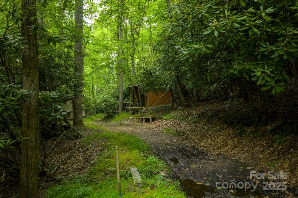 TBD Phipps Dairy Road Piney Creek, NC 28663